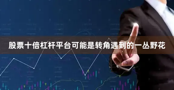 股票十倍杠杆平台可能是转角遇到的一丛野花