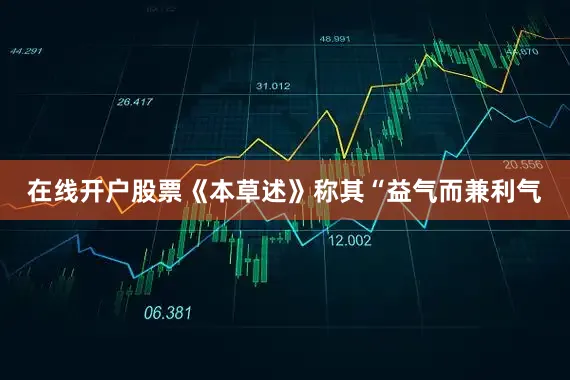 在线开户股票《本草述》称其“益气而兼利气