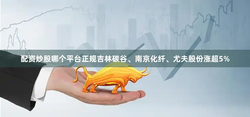 配资炒股哪个平台正规吉林碳谷、南京化纤、尤夫股份涨超5%