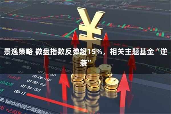 景逸策略 微盘指数反弹超15%，相关主题基金“逆袭”
